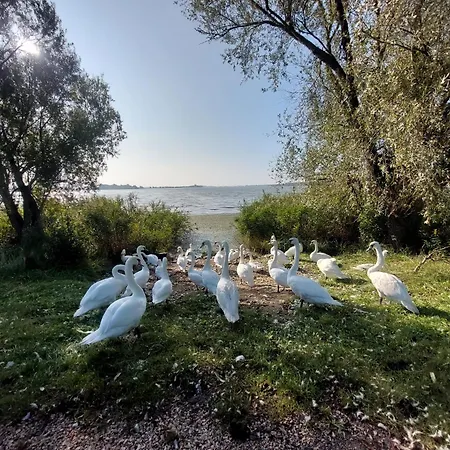 Aracsa Farm Es Vendeghaz Kis Balaton Es Termal Fuerdok Apartmán *