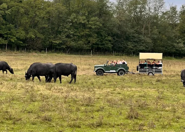 Aracsa Farm Es Vendeghaz Kis Balaton Es Termal Fuerdok *