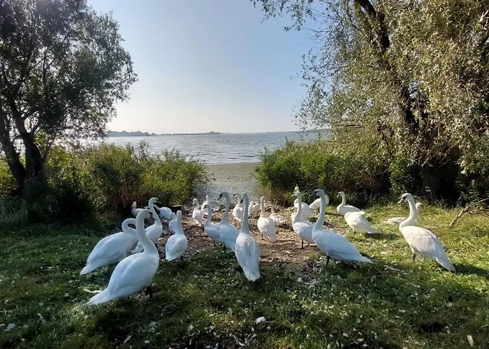 Aracsa Farm Es Vendeghaz Kis Balaton Es Termal Fuerdok Apartmán *